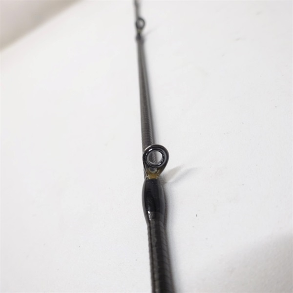 ソルティーステージプロトタイプシーバス